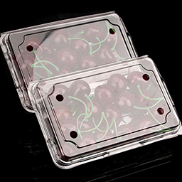Clamshell fruit box