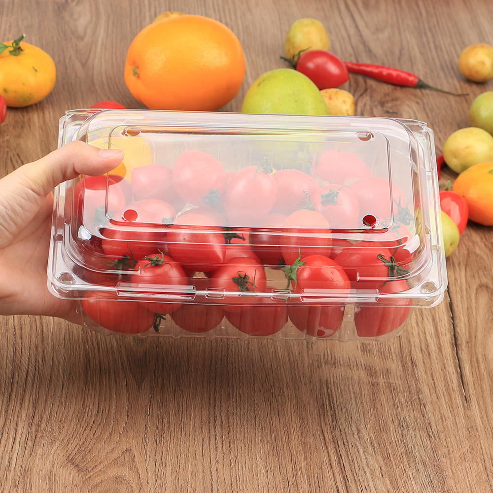 Wholesale Plastic Clamshell Packaging Disposable Containers