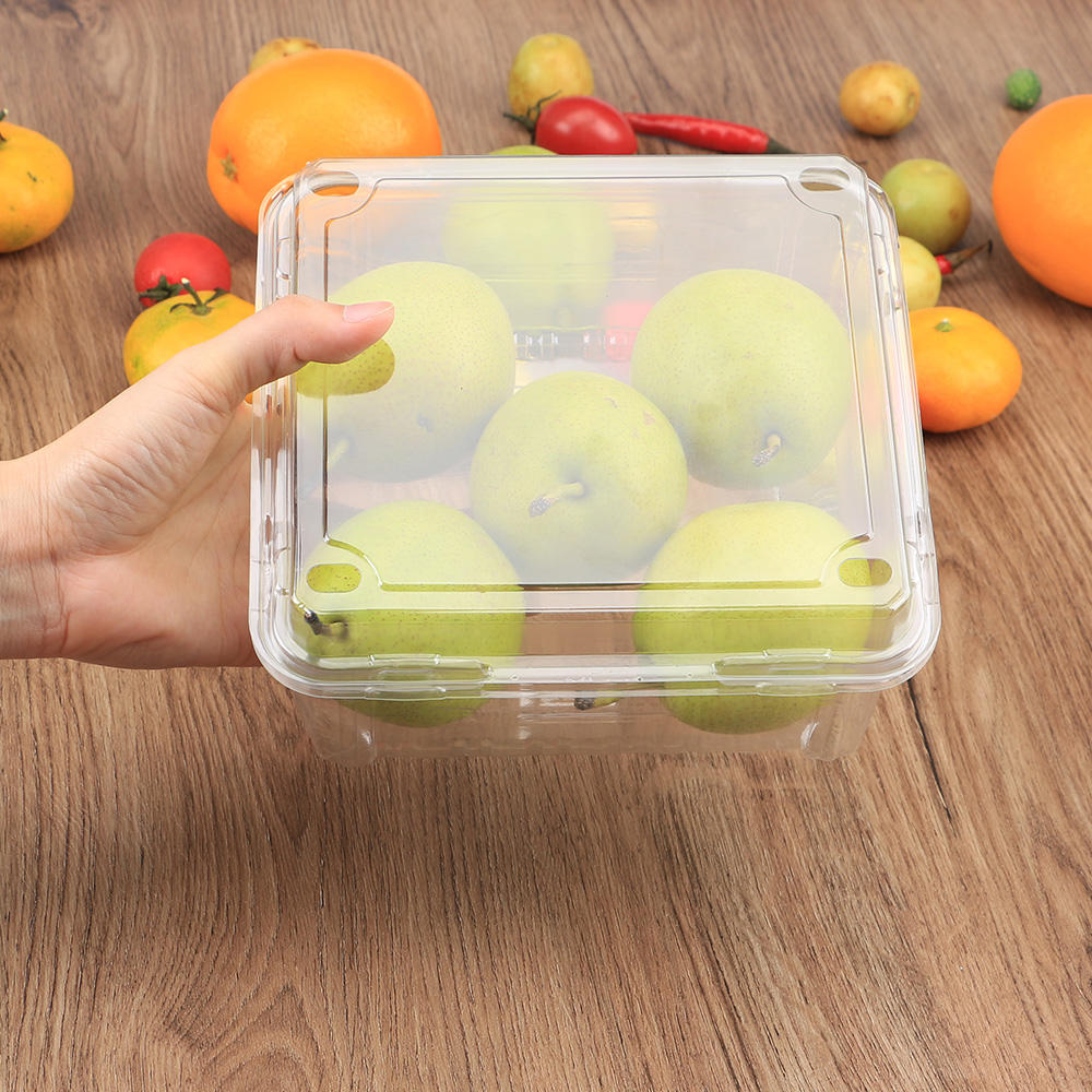 Wholesale Plastic Clamshell Packaging Disposable Containers
