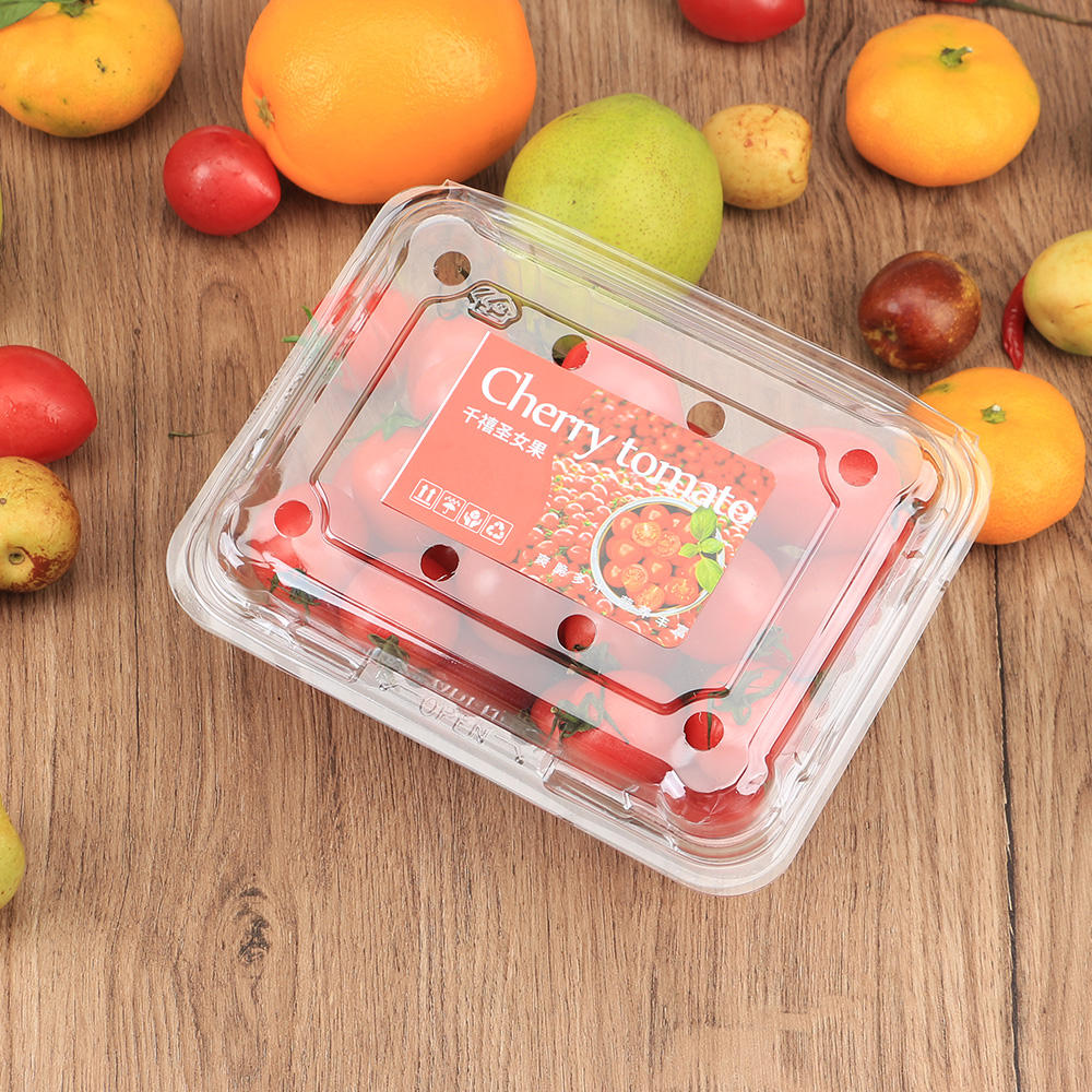 Wholesale Plastic Clamshell Packaging Disposable Containers