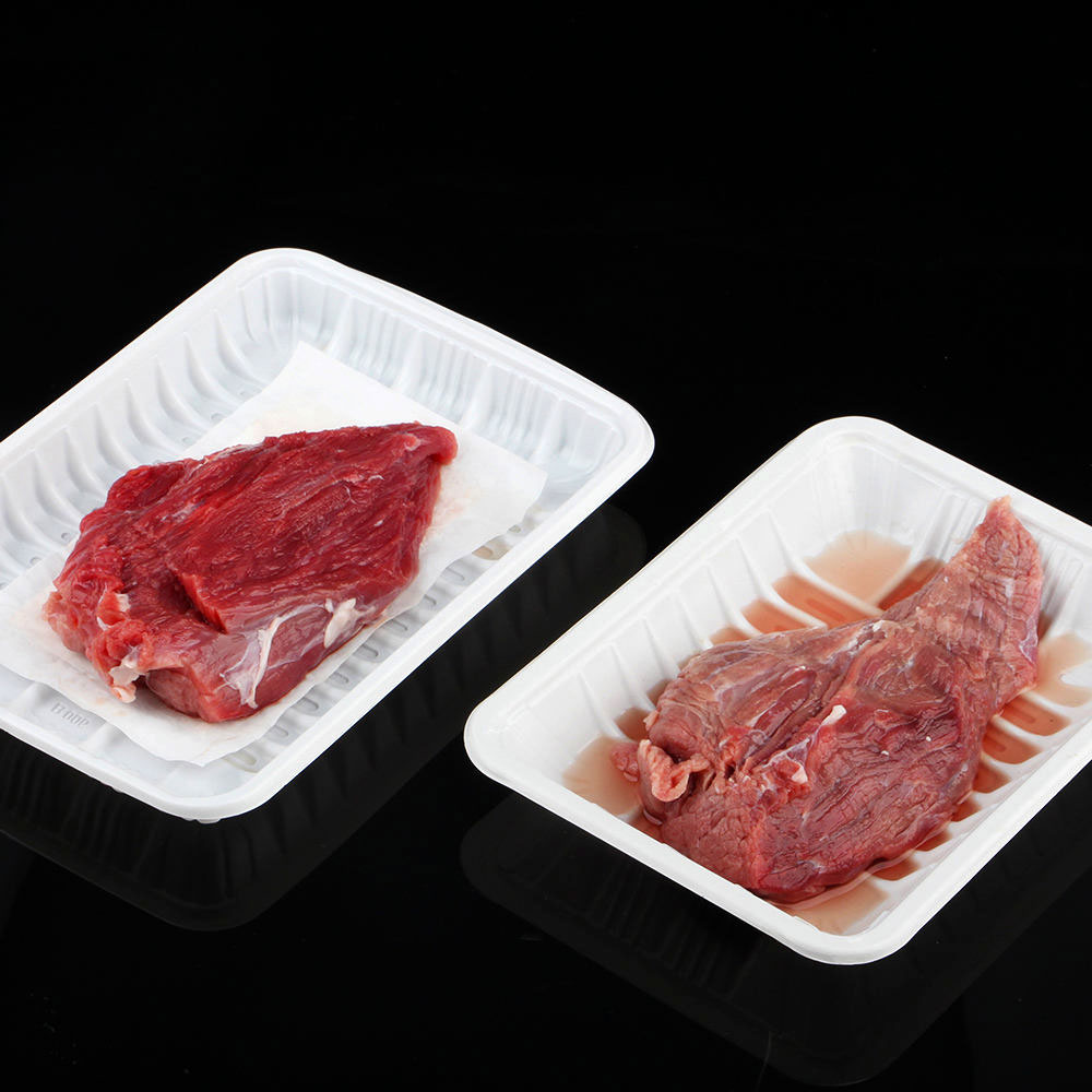 Fast Delivery Fruit Fish Poultry Food Meat Pad Machine Silicone Hydrophilic Absorbent Meat Pad 160*8