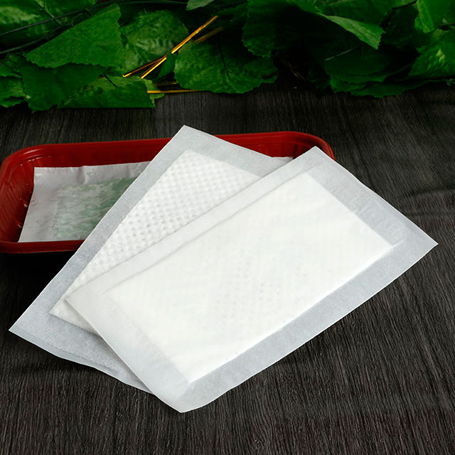 Fast Delivery Fruit Fish Poultry Food Meat Pad Machine Silicone Hydrophilic Absorbent Meat Pad 160*8
