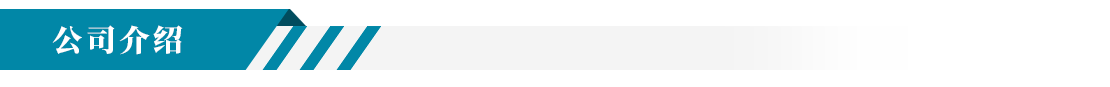 公司介绍
